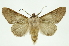  ( - INB0003334484)  @11 [ ] Copyright (2012) Juan Mata Lorenzen Unspecified