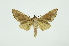  ( - INB0003339108)  @13 [ ] Copyright (2012) Juan Mata Lorenzen INBio