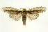  ( - INB0003339109)  @14 [ ] Copyright (2012) J. Montero INBio