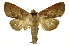  ( - INB0003339116)  @15 [ ] Copyright (2012) Juan Mata Lorenzen Unspecified