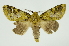  ( - INB0003339117)  @11 [ ] Copyright (2012) Juan Mata Lorenzen Unspecified