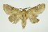  ( - INB0003339117)  @11 [ ] Copyright (2012) Juan Mata Lorenzen Unspecified