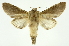  ( - INB0003340197)  @12 [ ] Copyright (2012) Juan Mata Lorenzen Unspecified