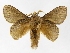  ( - INB0003340402)  @14 [ ] Copyright (2012) J. Montero Instituto Nacional de Biodiversidad
