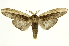  ( - INB0003341259)  @11 [ ] Copyright (2012) J. Montero INBio