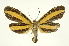 ( - INB0003341350)  @11 [ ] Copyright (2012) Juan Mata Lorenzen Unspecified
