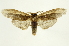 ( - INB0003347516)  @11 [ ] Copyright (2012) J. Montero INBio