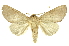  ( - INB0003347537)  @11 [ ] Copyright (2012) Juan Mata Lorenzen INBio