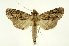  ( - INB0003347868)  @14 [ ] Copyright (2012) Juan Mata Lorenzen Unspecified