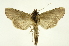  ( - INB0003347868)  @14 [ ] Copyright (2012) Juan Mata Lorenzen Unspecified