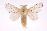  ( - INB0003351589)  @14 [ ] Copyright (2012) J. Montero Instituto Nacional de Biodiversidad