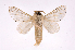  ( - INB0003351589)  @13 [ ] Copyright (2012) J. Montero Instituto Nacional de Biodiversidad