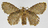  ( - INB0003351590)  @12 [ ] Copyright (2012) J. Montero Instituto Nacional de Biodiversidad