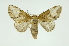  ( - INB0003351669)  @11 [ ] Copyright (2012) Juan Mata Lorenzen Unspecified