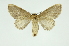  ( - INB0003351669)  @11 [ ] Copyright (2012) Juan Mata Lorenzen Unspecified