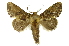  ( - INB0003351731)  @11 [ ] Copyright (2012) Juan Mata Lorenzen Unspecified