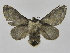  ( - INB0003351758)  @13 [ ] Copyright (2012) J. Montero Instituto Nacional de Biodiversidad