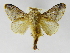  ( - INB0003352146)  @14 [ ] Copyright (2012) J. Montero Instituto Nacional de Biodiversidad