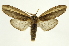  ( - INB0003352361)  @11 [ ] Copyright (2012) J. Montero INBio