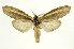  ( - INB0003352361)  @11 [ ] Copyright (2012) J. Montero INBio