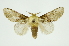  ( - INB0003352860)  @11 [ ] Copyright (2012) Juan Mata Lorenzen Unspecified
