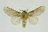  ( - INB0003352860)  @11 [ ] Copyright (2012) Juan Mata Lorenzen Unspecified