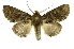 ( - INB0003352862)  @11 [ ] Copyright (2012) Juan Mata Lorenzen Unspecified