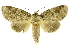  ( - INB0003374913)  @11 [ ] Copyright (2012) Juan Mata Lorenzen Unspecified