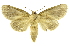 ( - INB0003374913)  @11 [ ] Copyright (2012) Juan Mata Lorenzen Unspecified