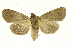  ( - INB0003374926)  @11 [ ] Copyright (2012) Juan Mata Lorenzen Unspecified