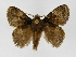  ( - INB0003374941)  @14 [ ] Copyright (2012) J. Montero Instituto Nacional de Biodiversidad