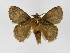  ( - INB0003374941)  @14 [ ] Copyright (2012) J. Montero Instituto Nacional de Biodiversidad