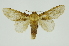  ( - INB0003375013)  @11 [ ] Copyright (2012) Juan Mata Lorenzen Unspecified