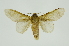 ( - INB0003375013)  @11 [ ] Copyright (2012) Juan Mata Lorenzen Unspecified