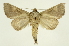  ( - INB0003375020)  @13 [ ] Copyright (2012) Juan Mata Lorenzen Unspecified