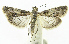 ( - INB0003375120)  @14 [ ] CreativeCommons - Attribution Non-Commercial Share-Alike (2012) National Biodiversity Institute of Costa Rica National Biodiversity Institute of Costa Rica