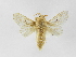  ( - INB0003375806)  @13 [ ] Copyright (2012) J. Montero Instituto Nacional de Biodiversidad