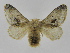  ( - INB0003375811)  @14 [ ] Copyright (2012) J. Montero Instituto Nacional de Biodiversidad