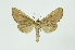  ( - INB0003375876)  @12 [ ] Copyright (2012) Juan Mata Lorenzen INBio