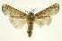  ( - INB0003386419)  @11 [ ] Copyright (2012) Juan Mata Lorenzen Unspecified