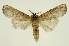  ( - INB0003386419)  @11 [ ] Copyright (2012) Juan Mata Lorenzen Unspecified