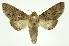  ( - INB0003386597)  @13 [ ] Copyright (2012) Juan Mata Lorenzen Unspecified