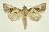  ( - INB0003386872)  @13 [ ] Copyright (2012) Juan Mata Lorenzen Unspecified