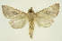  ( - INB0003386872)  @13 [ ] Copyright (2012) Juan Mata Lorenzen Unspecified