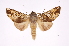  ( - INB0003386877)  @14 [ ] Copyright (2012) I. Chacon Instituto Nacional de Biodiversidad