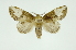  ( - INB0003386892)  @14 [ ] Copyright (2012) Juan Mata Lorenzen Unspecified