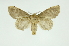  ( - INB0003386892)  @14 [ ] Copyright (2012) Juan Mata Lorenzen Unspecified