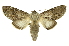  ( - INB0003386898)  @14 [ ] Copyright (2012) Juan Mata Lorenzen Unspecified