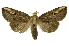  ( - INB0003386899)  @11 [ ] Copyright (2012) Juan Mata Lorenzen Unspecified