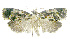  ( - INB0003388402)  @13 [ ] CreativeCommons - Attribution Non-Commercial Share-Alike (2012) National Biodiversity Institute of Costa Rica National Biodiversity Institute of Costa Rica